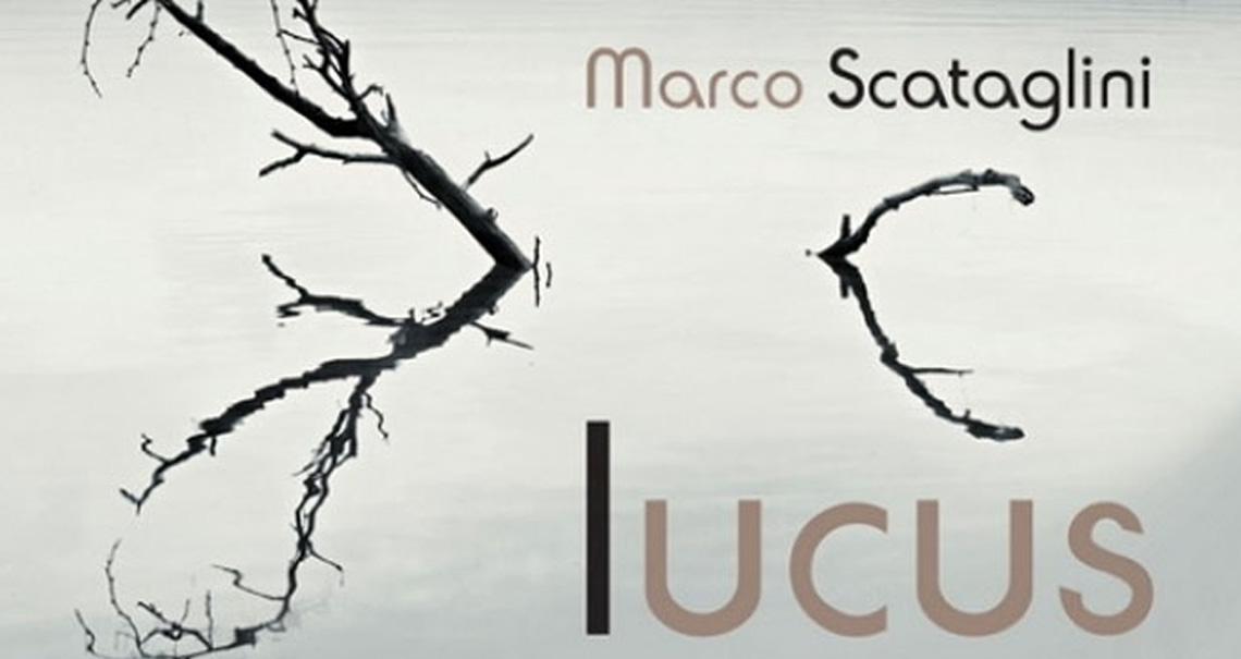 marco-scataglini-lucus