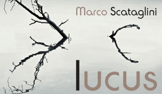 marco-scataglini-lucus